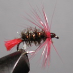 ����  Red tag  RTG 06 peacock red � 18